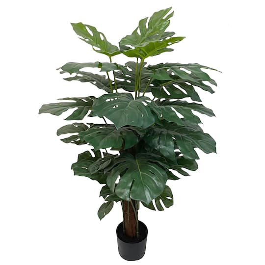 4ft. Potted Philo Tree by Ashland®